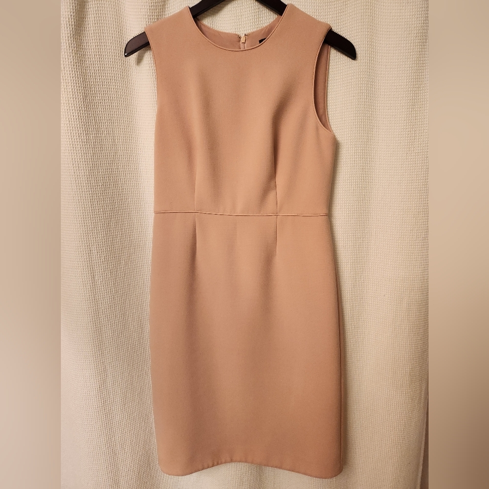 Ann Taylor Sleeveless Sheath Dress Soft Pink Size 6 Petite